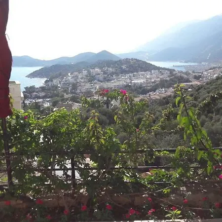 Home-lu Apartman